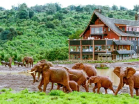 The Ark Lodge Hotels in Nyeri