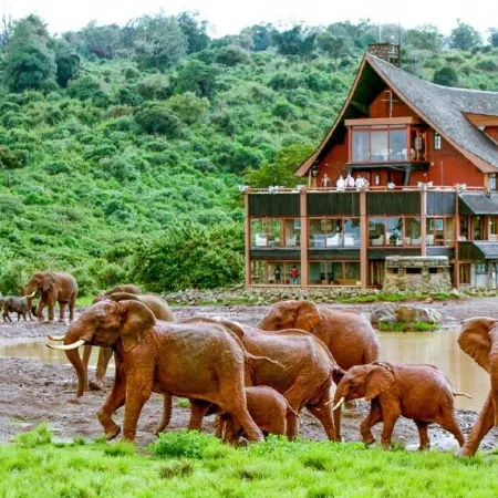 The Ark Lodge