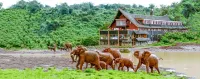 The Ark Lodge