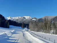 Secluded Apartment in Ferlach Near Bodental Ski Lift