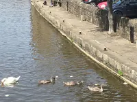 Highfield Guesthouse Hotels in Skipton