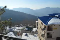 Mustafa's Palace Hotels in Bhurban