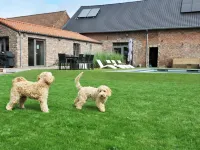 Cottage in Vlaanderen for 3 Person