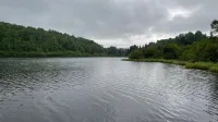 Domaine du Cinq