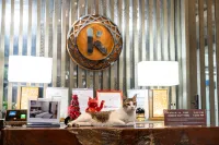 Kamalig Ng Caraga - Hotel Near SM Mall Butuan