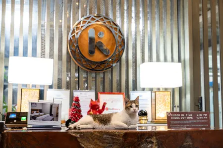 Kamalig Ng Caraga - Hotel Near SM Mall Butuan Отели рядом с Аэропорт Банкаси