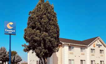 Comfort Inn Ellensburg