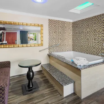 Sky Palm Motel - Orange