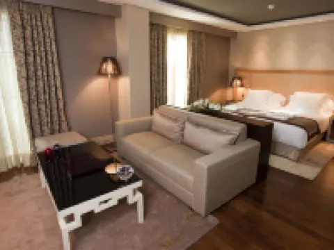 Nexus Valladolid Suites & Hotel Hotels in Campina del Pisuerga