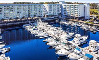 Harbourgate Marina Club