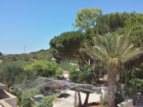 บาลโย อิลโจวิเนตโต