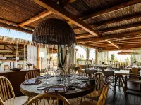 Cumeja Beach Club & Hotel Hotels in Cellole