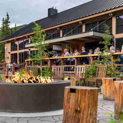 Holland America Denali Lodge Hotel Exterior