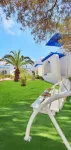 Zenon Djerba
