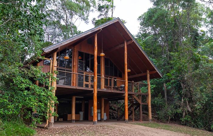 The Canopy Rainforest Treehouses & Wildlife Sanctuary