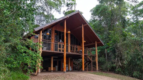The Canopy Rainforest Treehouses & Wildlife Sanctuary Hotels in Malanda