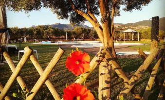 Hotel Tanca Irde