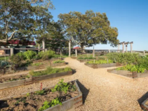 Spicers Hidden Vale Hotels in Ipswich