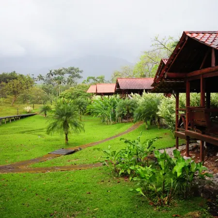 La Anita Rain Forest