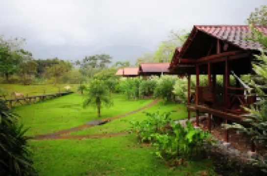 La Anita Rain Forest Hoteles en Liberia