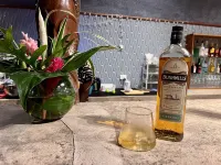 MG Cocomo Resort Vanuatu - bar