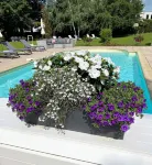Les Jardins d'Adalric - Swimmingpools