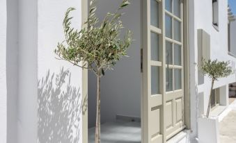 Elegant Apartments