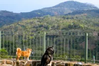 Casa Amanecer Bed & Breakfast Hotels in Zarcero