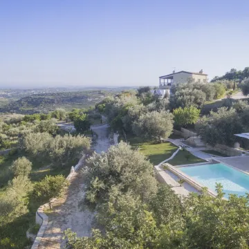 Tenuta Olive Alive