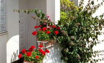 Mino 리올린차노14 B & B(Riolinciano14 B&B) 3-Star Hotel amenity