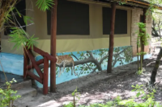 ดรังเคน อีเลเฟนต์ มารา โรงแรมใน