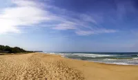 Sonesta Inns Beach Resort - Candolim Beach - Beach