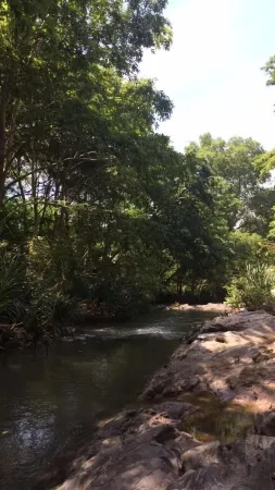 Dil Lanka Safari Resort Отели рядом с достопримечательностью «Bo Tree»