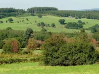 Farmhouse Situated at the Edge of the Woods, Cleaning Included