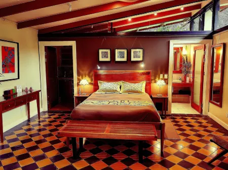 Chirripo Art Hotel Отели в г. Перес Селедон