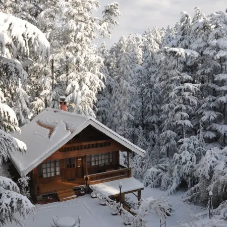 The Chalets Naldehra