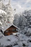 The Chalets Naldehra