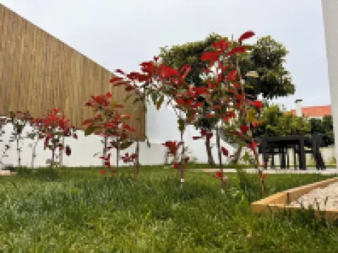 D'Felicidade Hotels in 