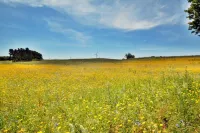 Comfortable Holiday Home, Sauna Hot Tub Included