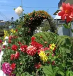 Villa Tea Fields - Free Breakfast, Just 4km from City, Near Lake Gregory -  Casas de vacaciones