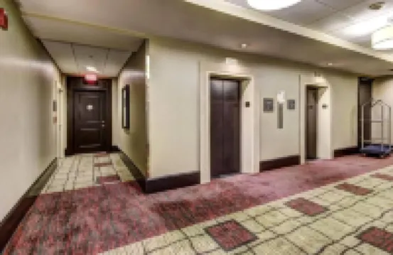 Baltimore executive Furnished rentals