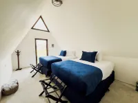 Arena Hostel Hotels in 