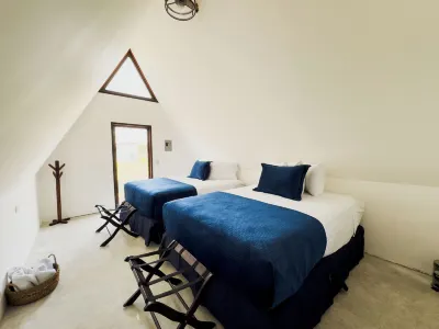 Arena Hostel Hotels near Embarcadero Cocalito