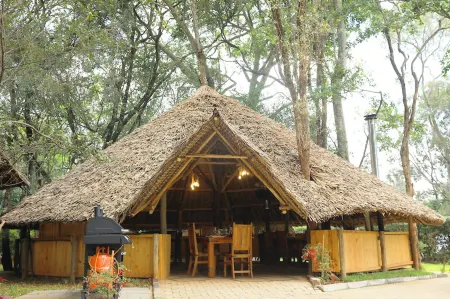 The giraffe cottages Отели рядом с достопримечательностью «Шелдрик Уайлдлайф Траст Нерсери»