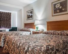 Econo Lodge by the Falls