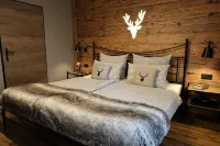 Montara Suites Bodenmais I Aktivcard Bayerischer Wald Inklusive - balcony