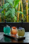 Le Riad Villa Blanche - Baarit