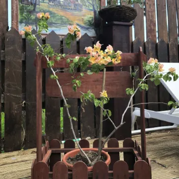 Greenheart Boutique Hotel