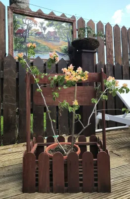 Greenheart Boutique Hotel