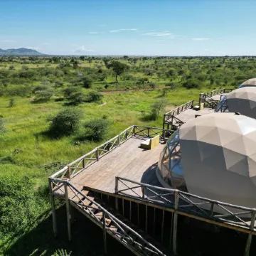 Kuoom Serengeti